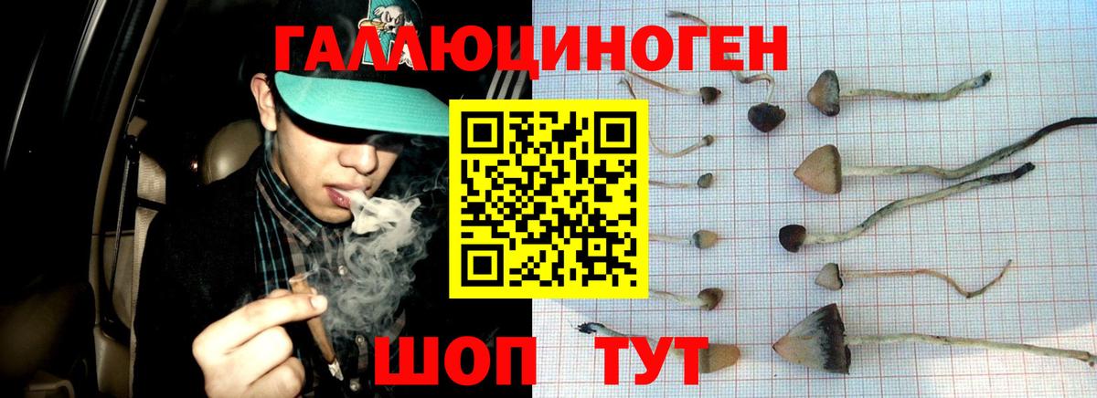 Псилоцибиновые грибы GOLDEN TEACHER  Вход с VPN  Серпухов 